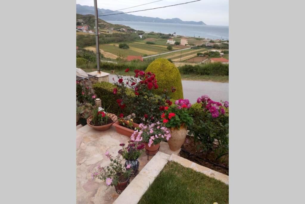 Villa Roses-Murterí Kültér fotó