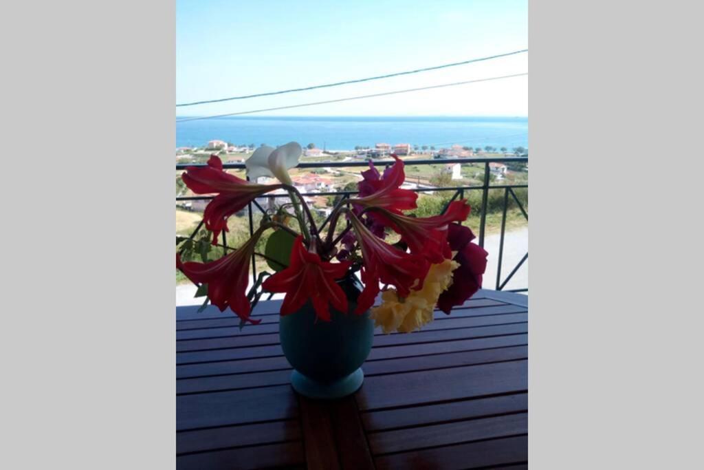 Villa Roses-Murterí Kültér fotó